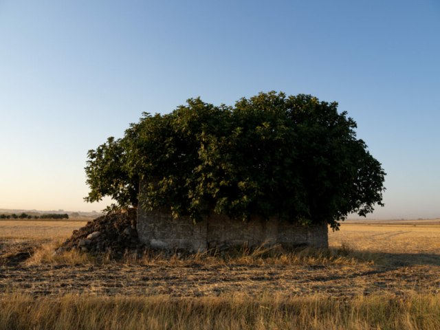 Puglia | OM5- II + OM 12-45mm f/4 Pro - Ugo Baldassarre